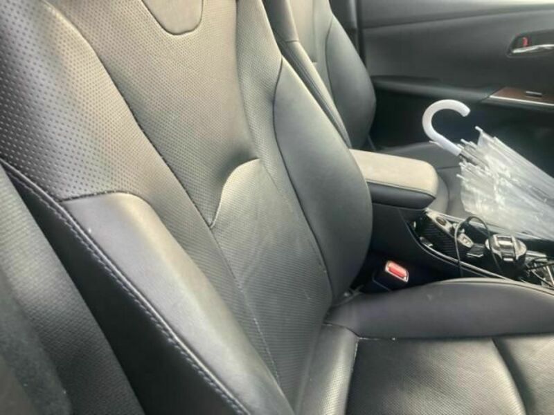 PRIUS-6
