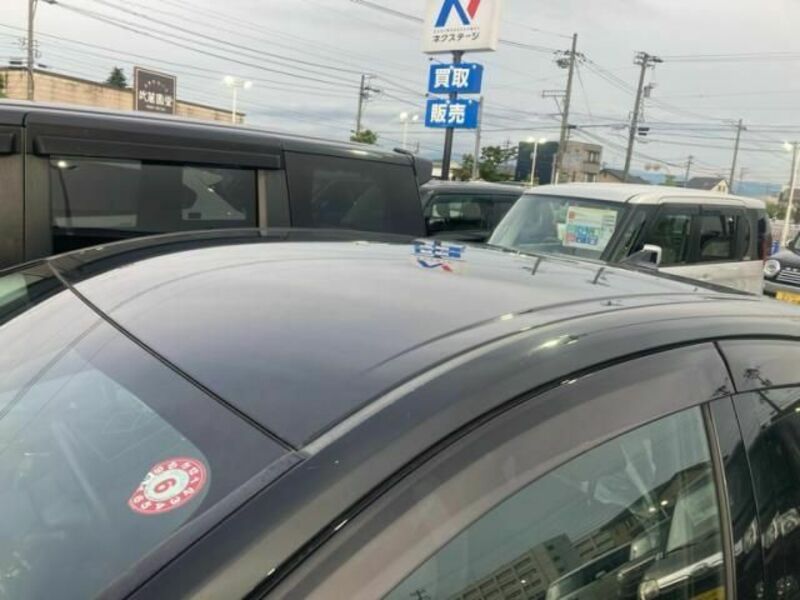 PRIUS-21