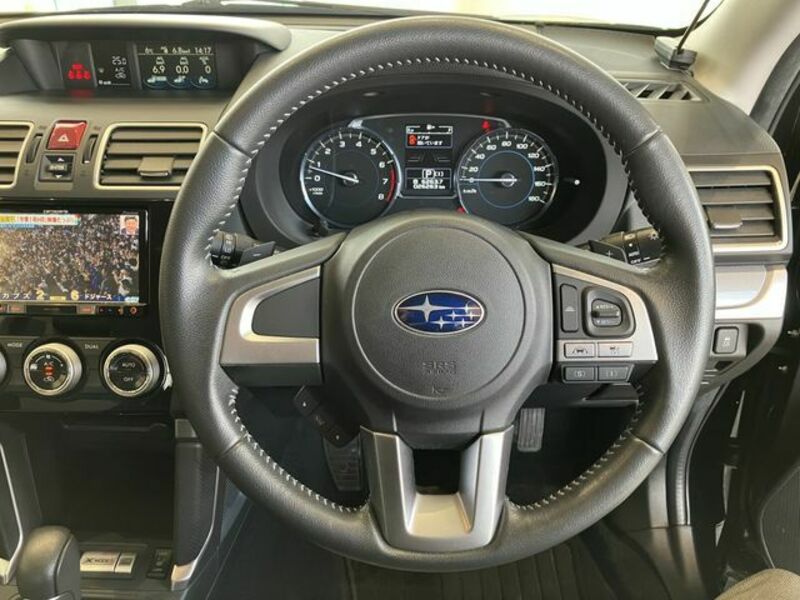 FORESTER