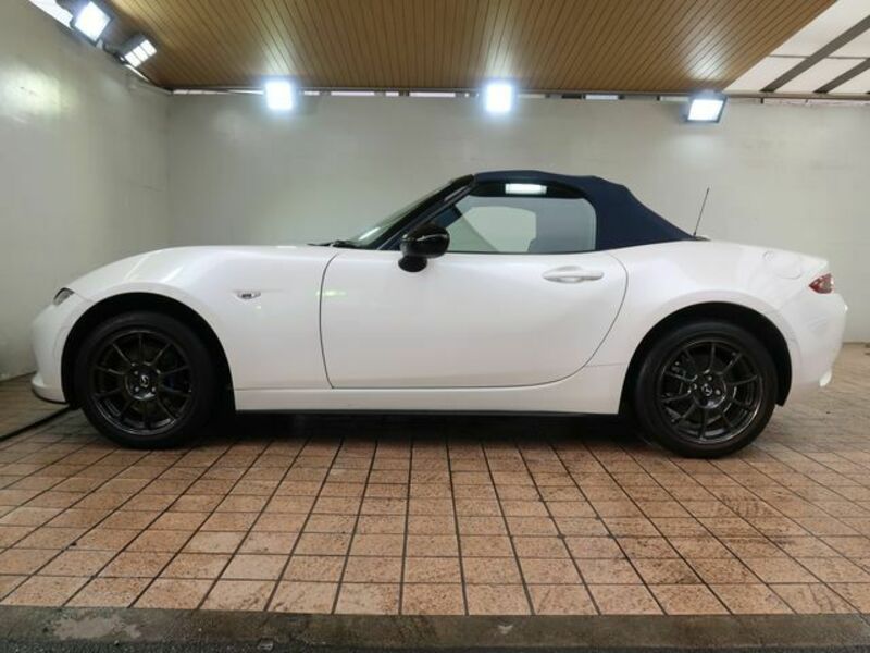 ROADSTER