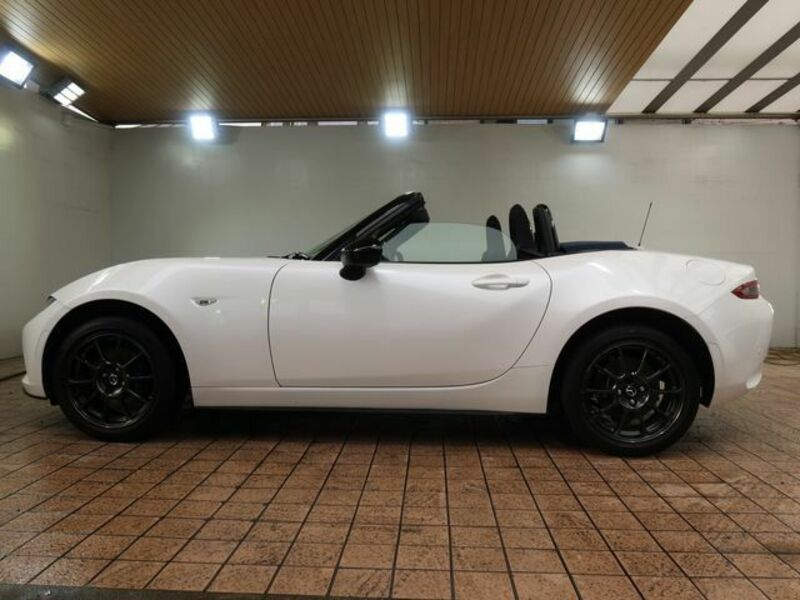 ROADSTER