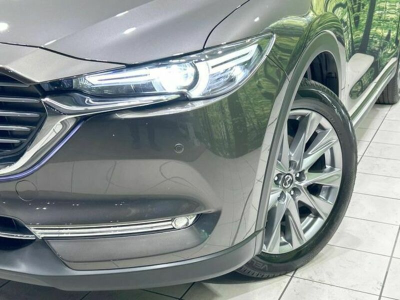 CX-8