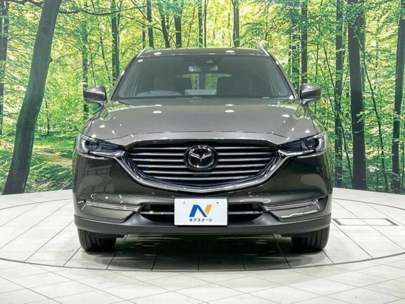 CX-8