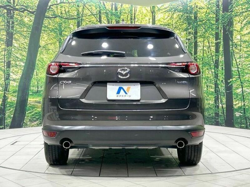CX-8