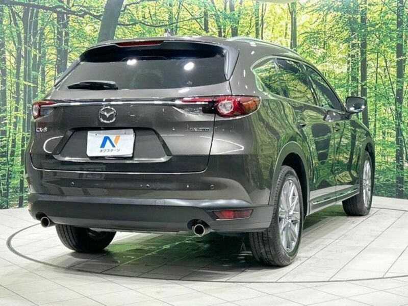 CX-8