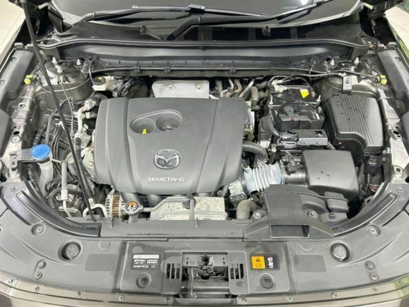 CX-8
