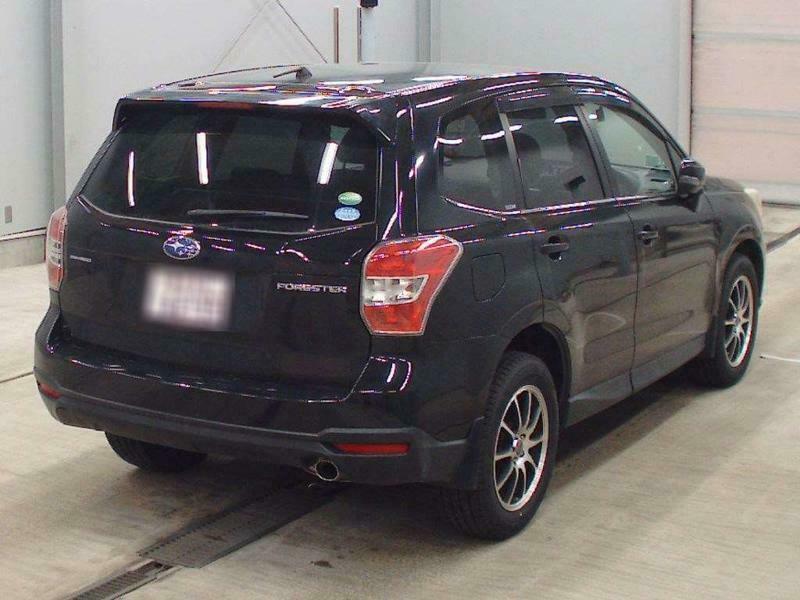 FORESTER-1