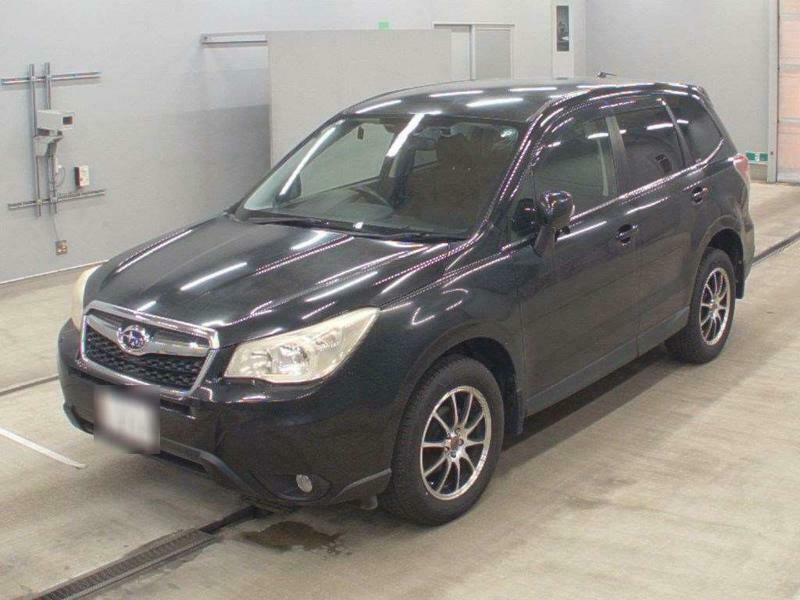 FORESTER-2