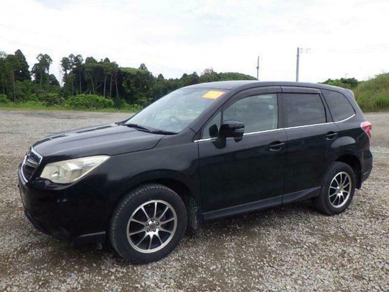 FORESTER-6