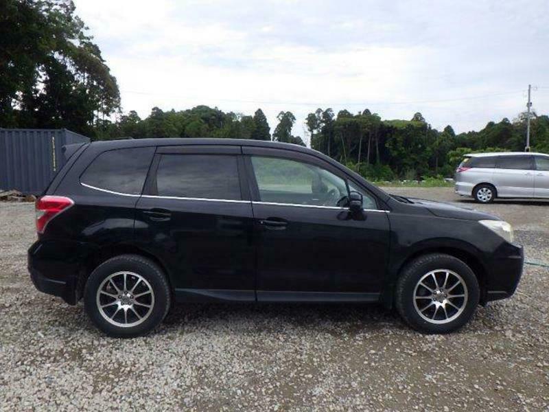 FORESTER-7