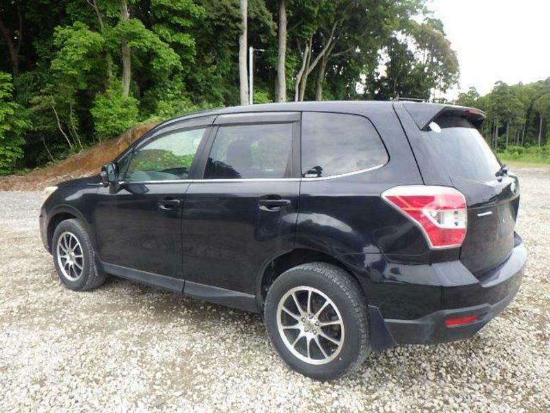 FORESTER-9