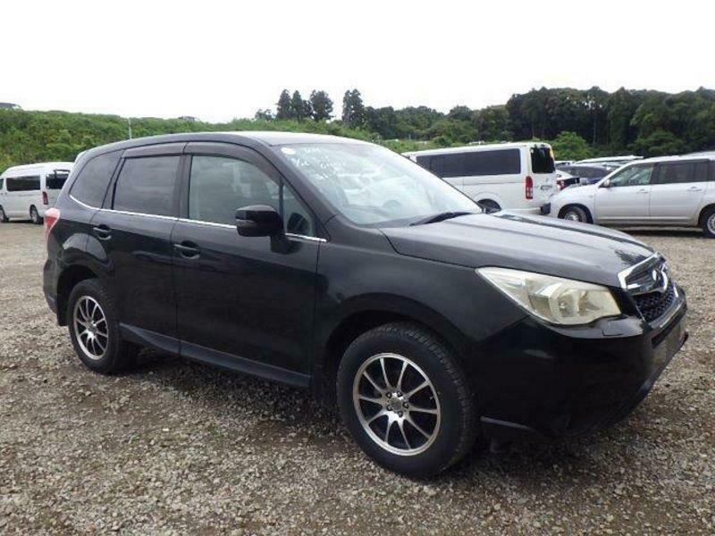 FORESTER