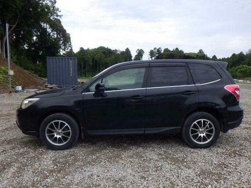 FORESTER-11