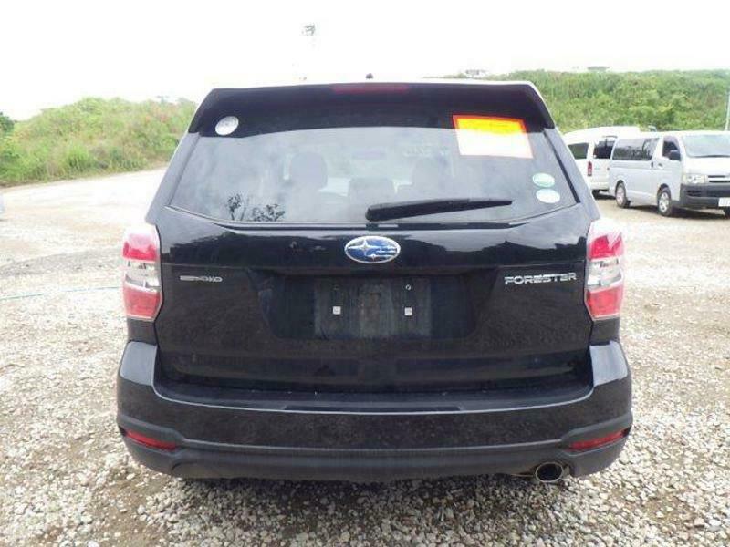 FORESTER-12