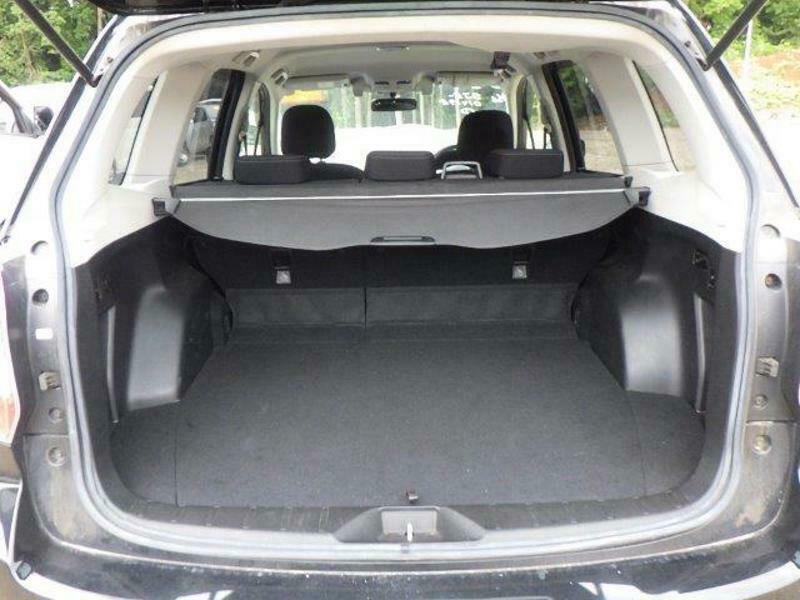 FORESTER-29