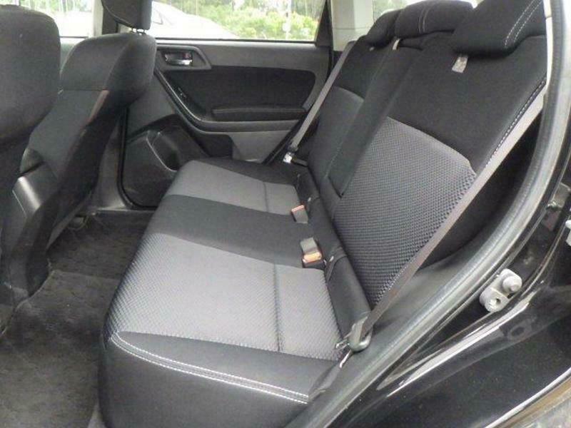FORESTER-34