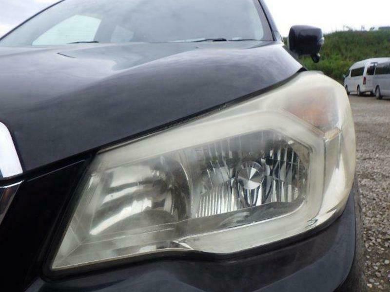 FORESTER-40