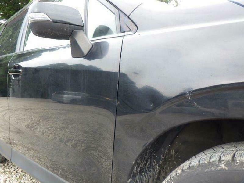 FORESTER-41