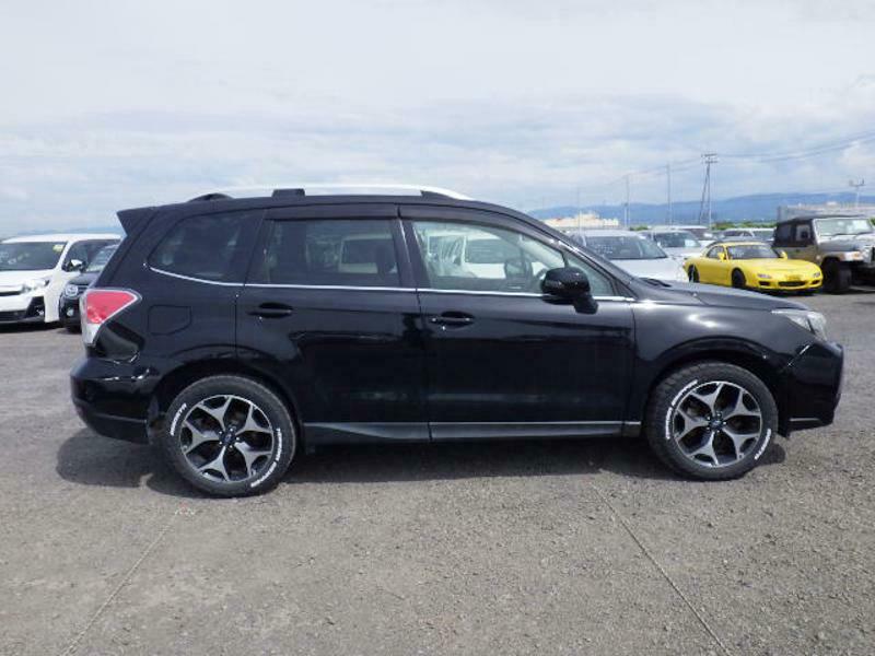 FORESTER-6