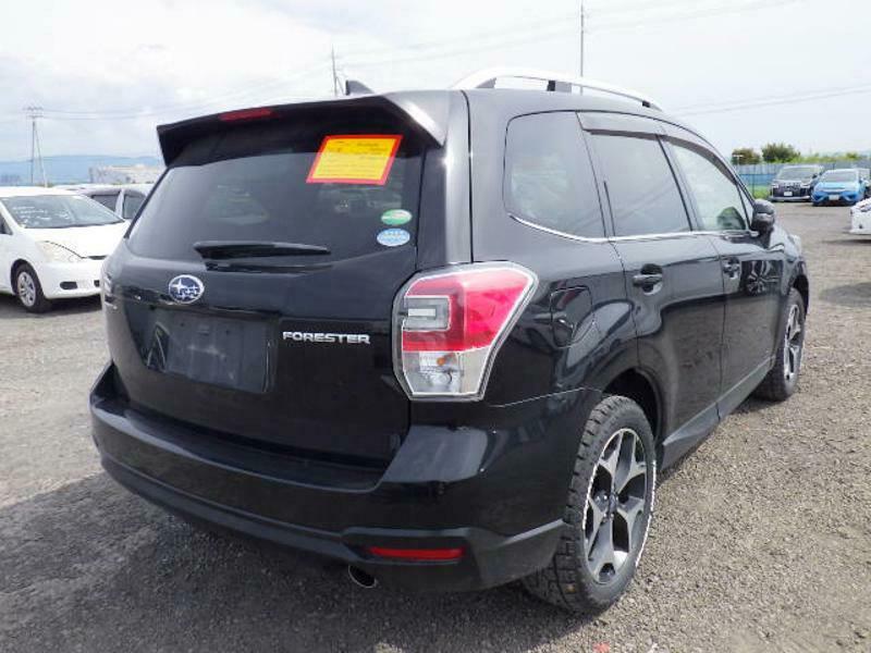 FORESTER-8