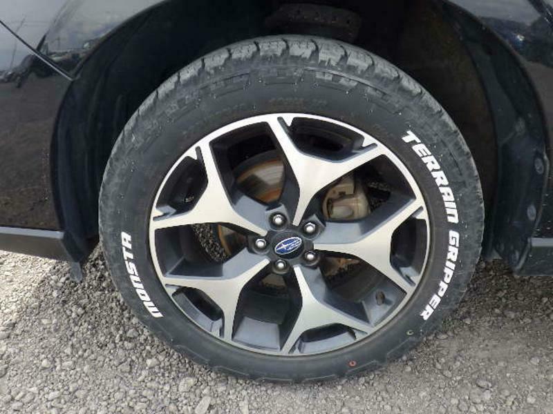 FORESTER-19