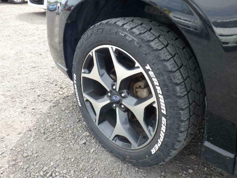 FORESTER-20