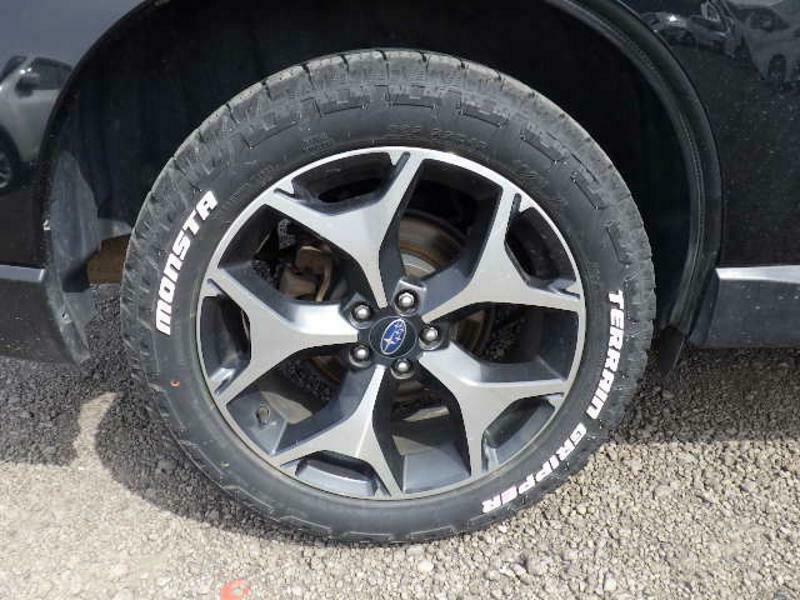 FORESTER-22