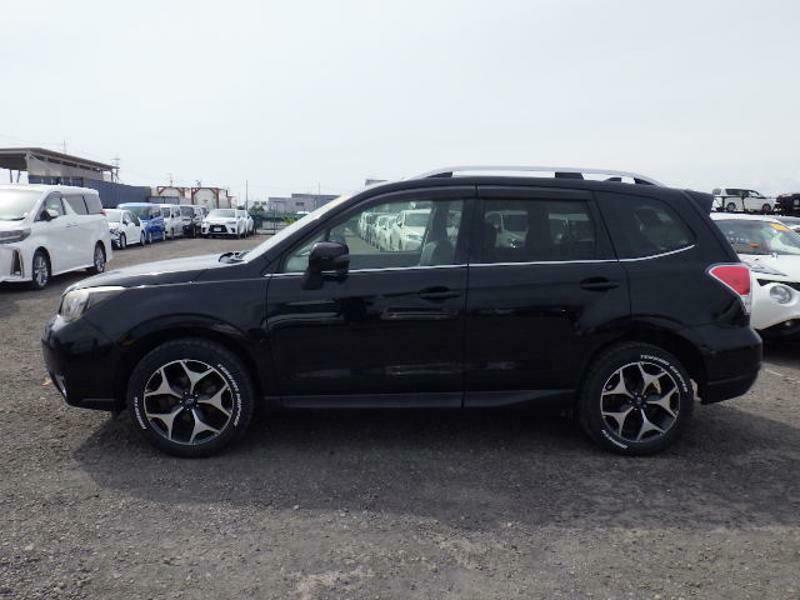 FORESTER-33