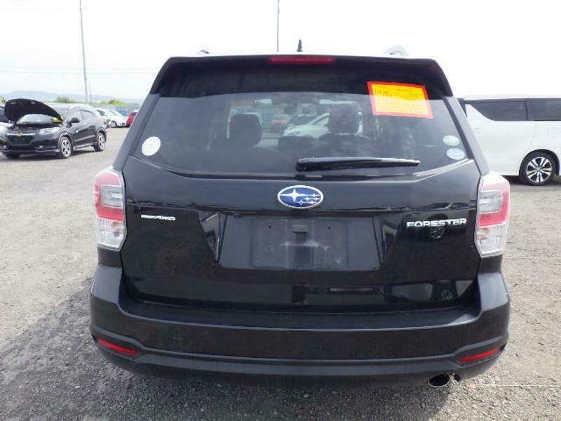 FORESTER-34