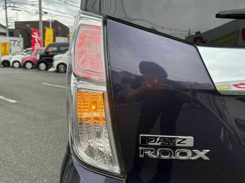DAYZ ROOX