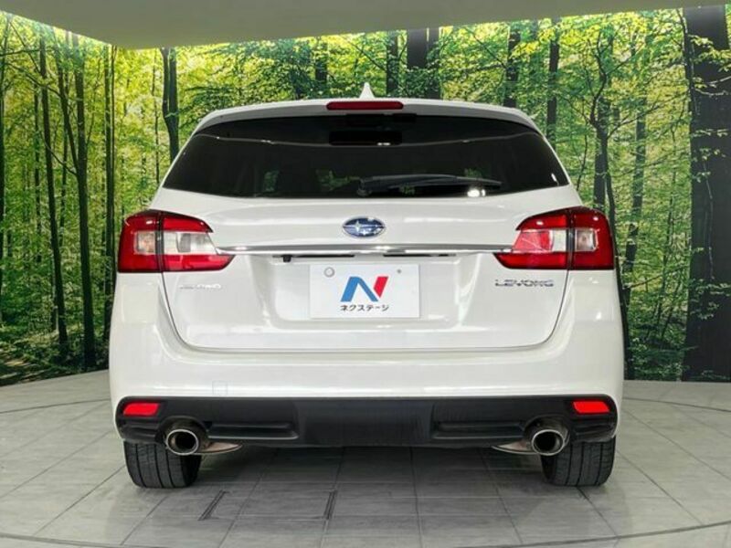 LEVORG