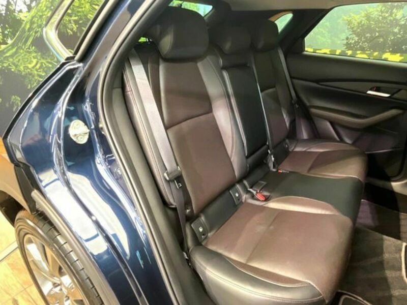CX-30