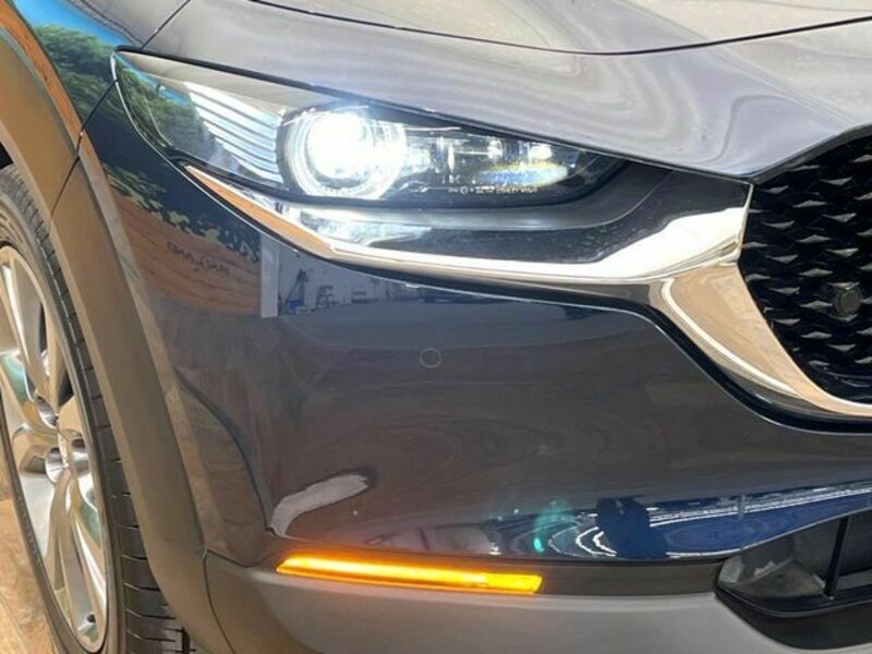 CX-30