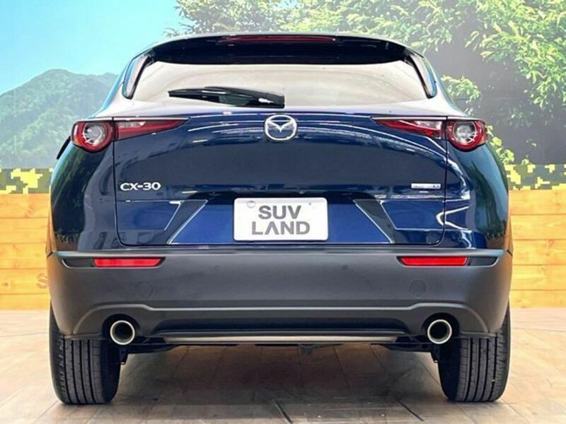 CX-30