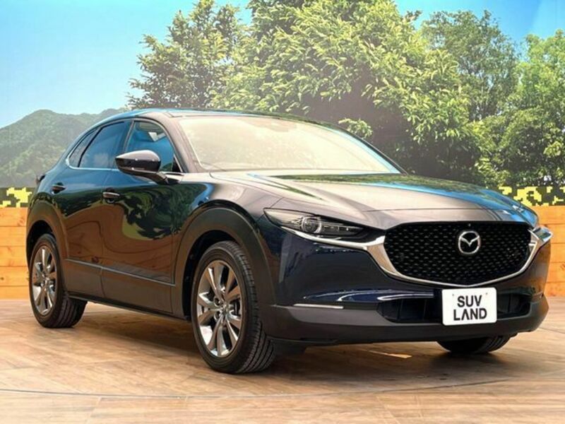 CX-30