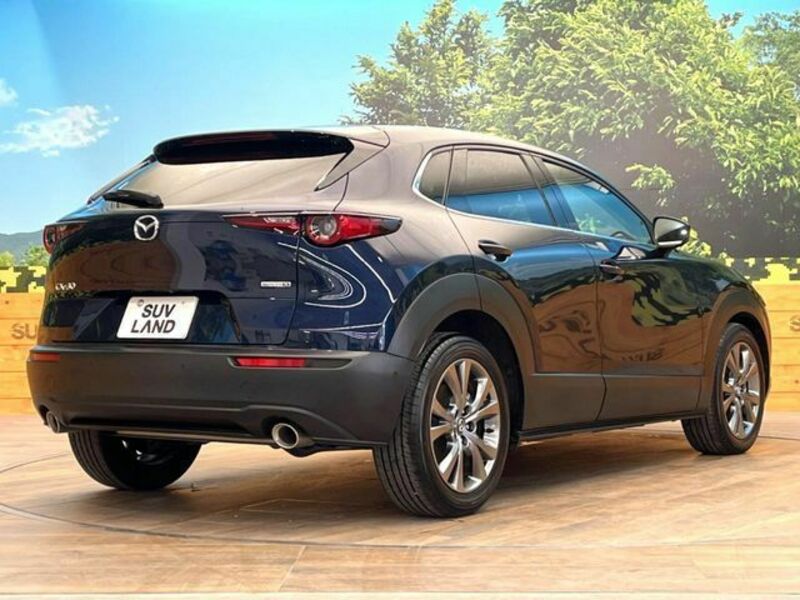 CX-30