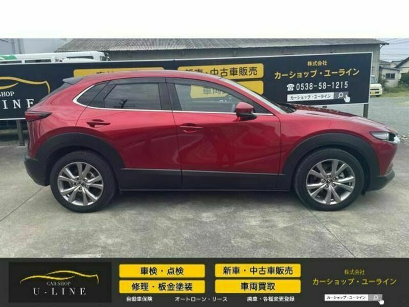 CX-30