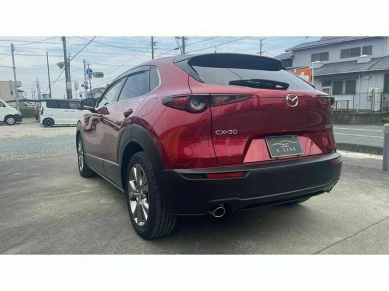 CX-30