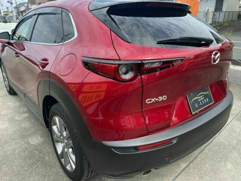 CX-30