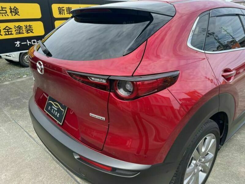 CX-30