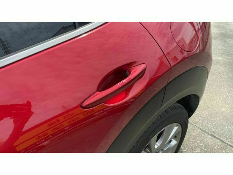 CX-30