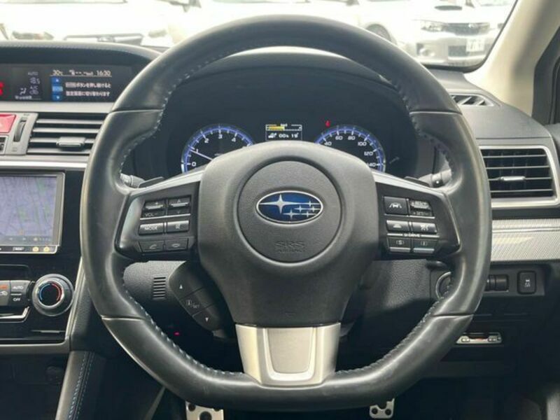 LEVORG