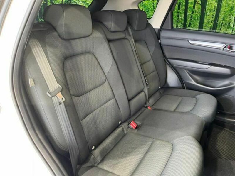 CX-5-8