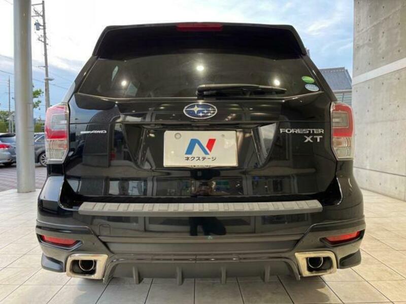 FORESTER-16
