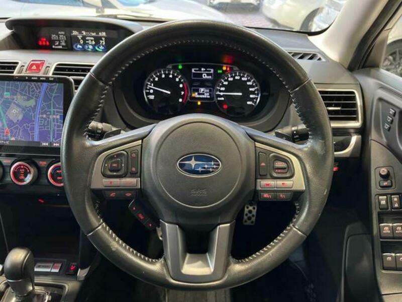 FORESTER-10