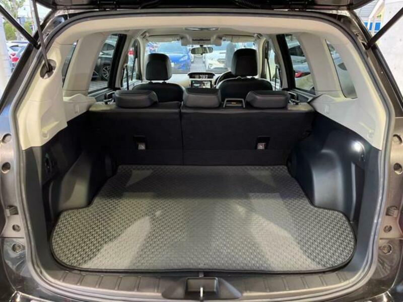 FORESTER-12