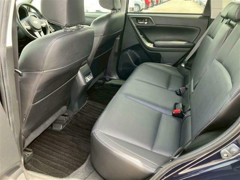 FORESTER-16