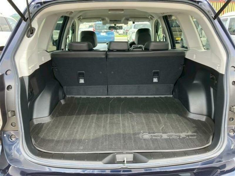 FORESTER-11