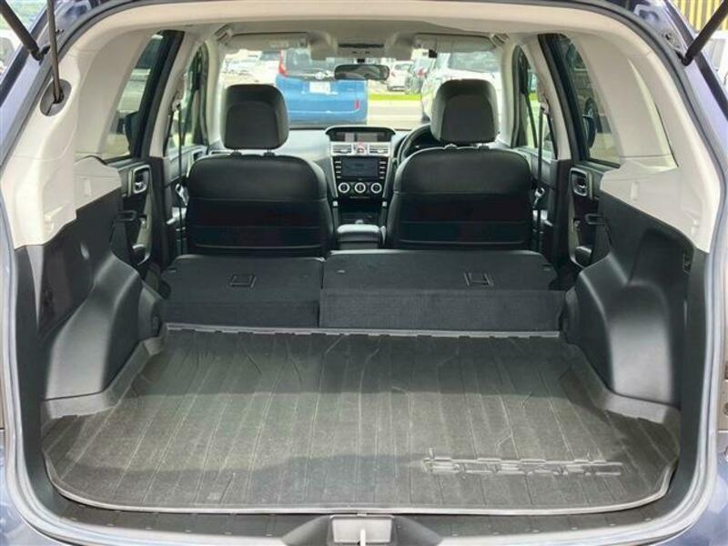 FORESTER-12