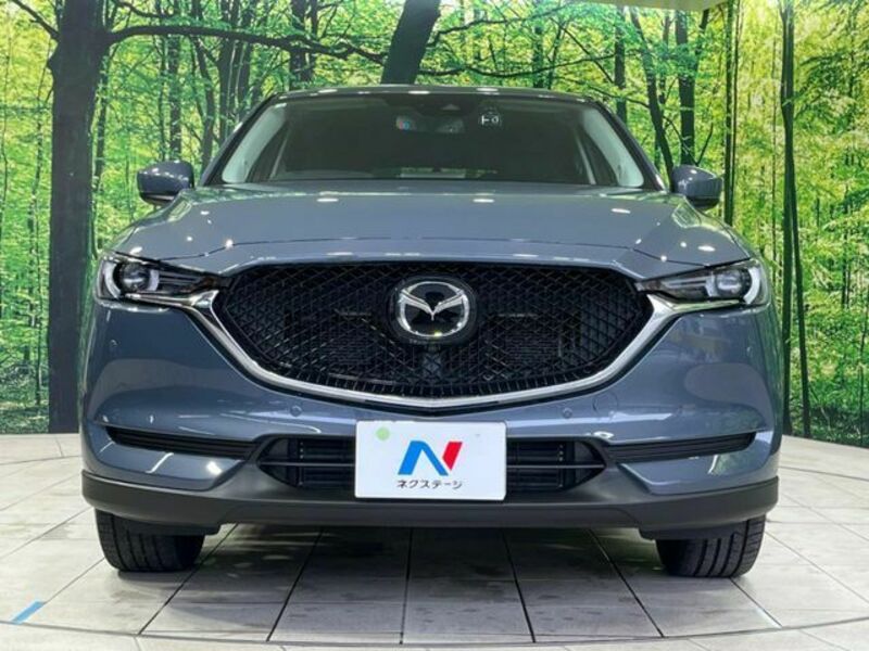 CX-5-13